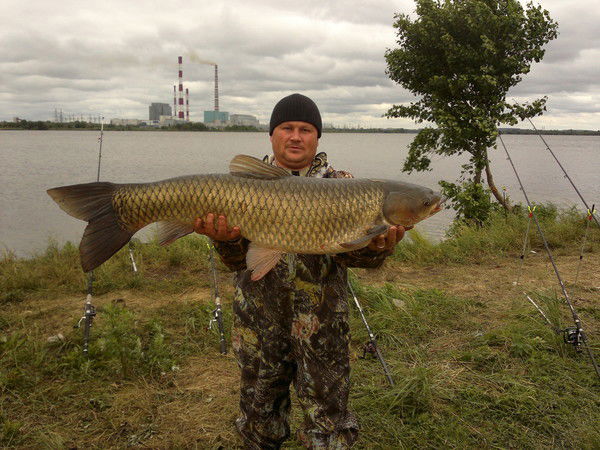 Сергей Кудряшов