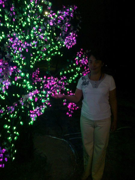 Гульнара Баисова