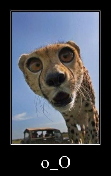 ***наглый Фрукт***