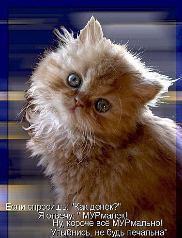 Александра Шалагина