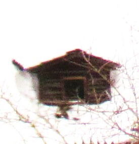 Александр Караев