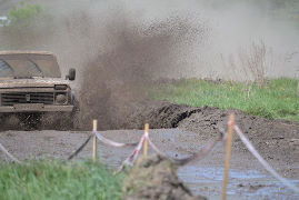 Светлана Пчелинцева