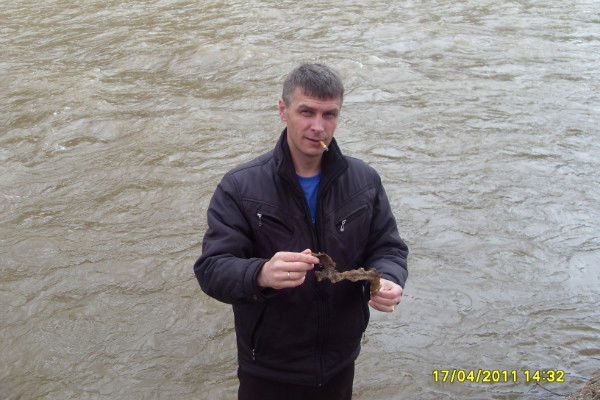 Алексей Горбунов