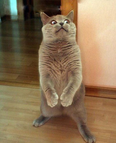 Евгения Ильюшенкова