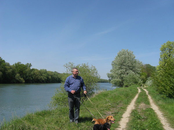 Александр Макаревич