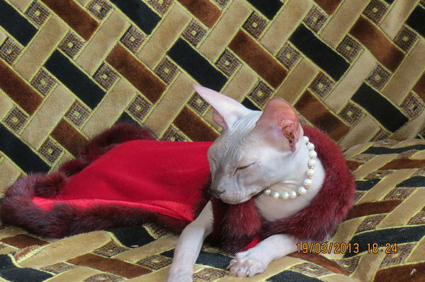 Ольга Ножевых