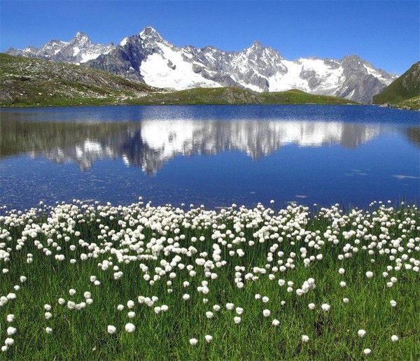 Антон Бедрик