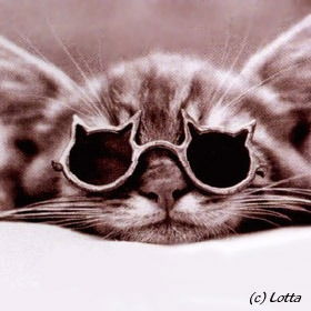 Полина Плетнева