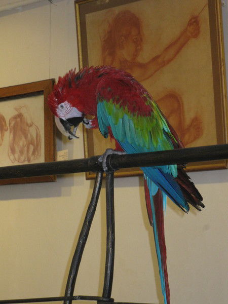 Ксения Миронова