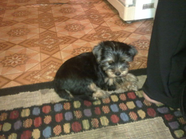 Светлана Глазова