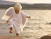 Лисенок Близнюк