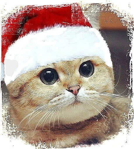 Эльмира Загидуллина