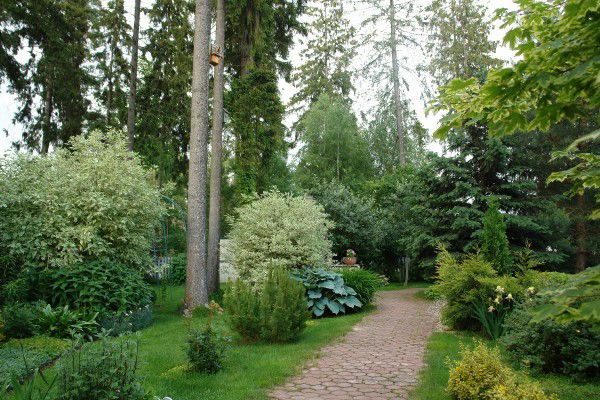 Валентина Волкова