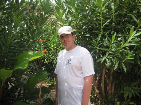 Алексей Старицкий