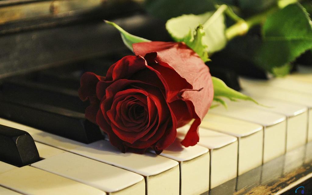 Айза Таштанбекова