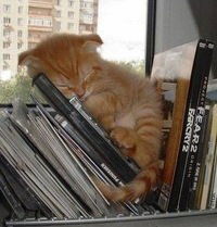 Даша Алдухова