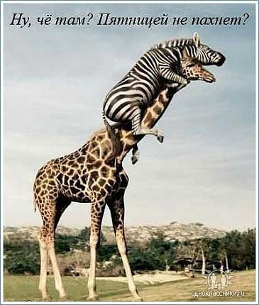 Юлия Питиримова