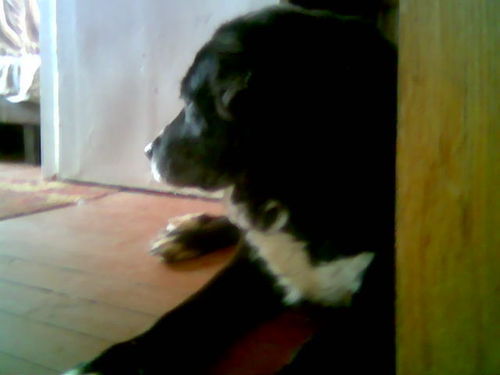 Людмила Мочкина