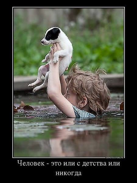 Есентай Акимбеков