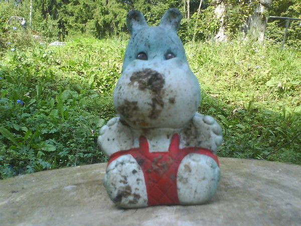 Алёша Никульшин