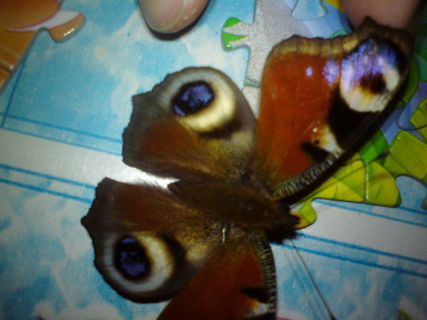 Иван Измайлов