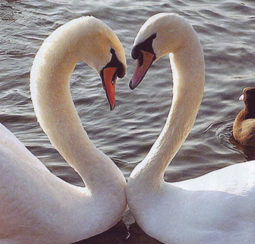 Юлия Мельнова