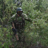 Константин Ступакевич