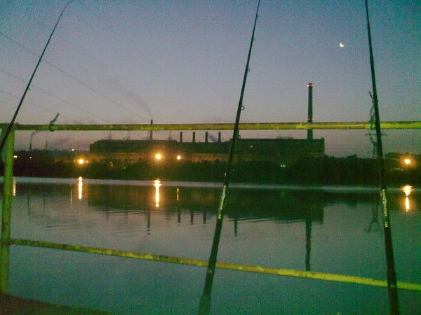 Николай Шейгус