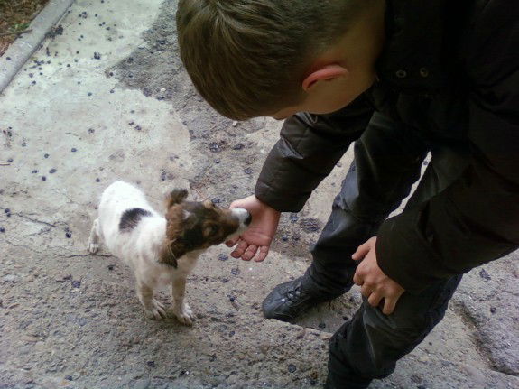 Богданчик ...