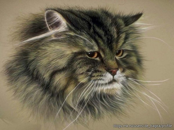 Надежда Ситникова