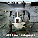 Любимый ...
