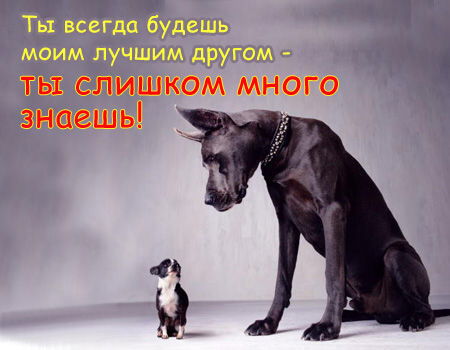 Настя Восточный