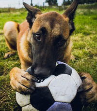 Сардор Мамажанов