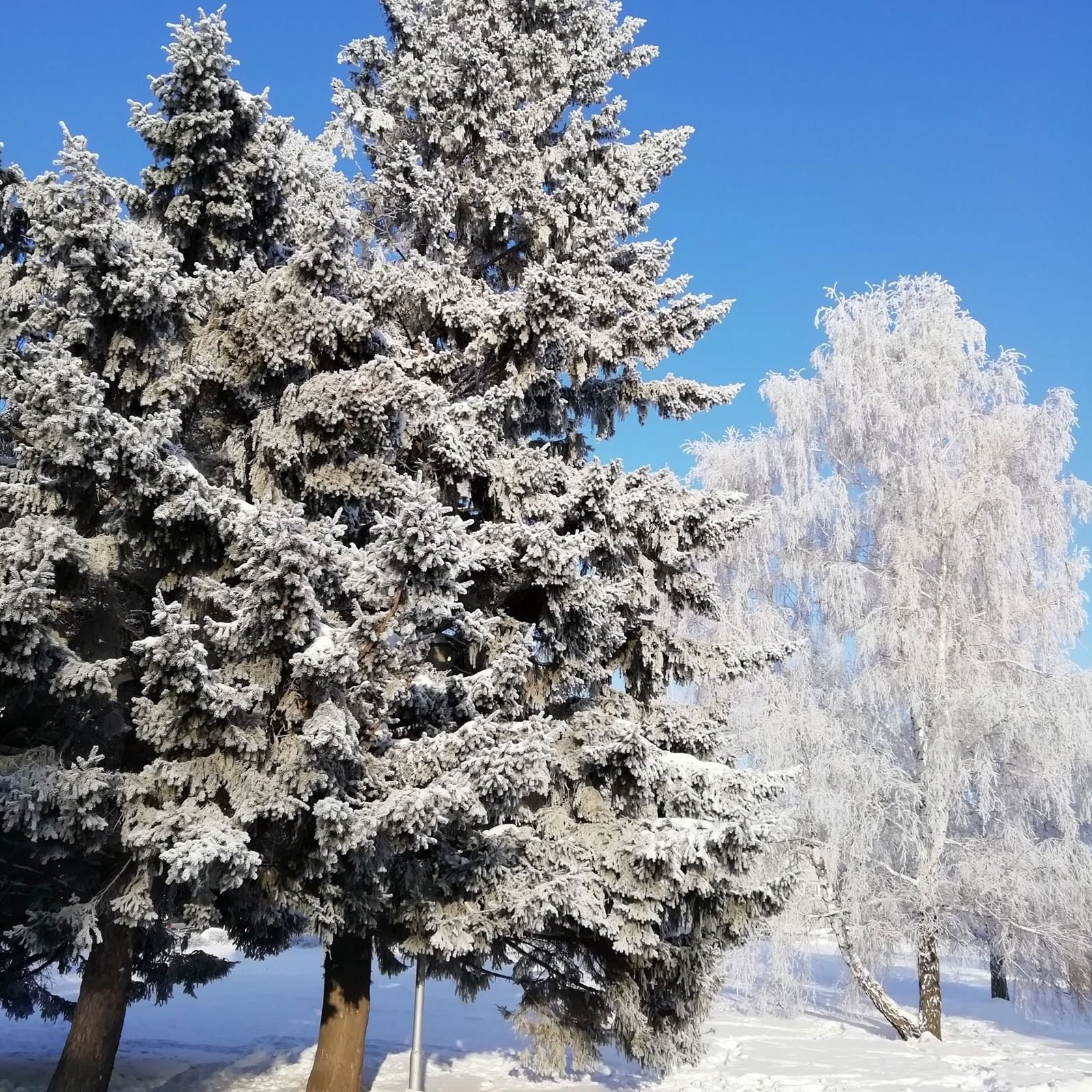 Маргарита Катаева