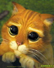 Сухинина Мария