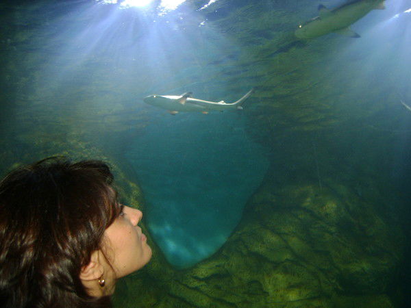 Мариночка Злывко