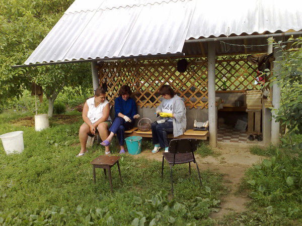 Владимир Лобанов