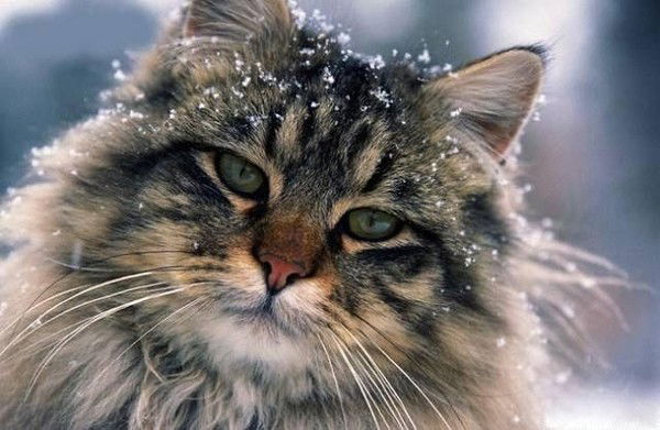 Сергей Неизвестно