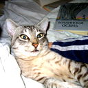 Институт Отношений