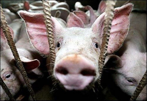 Никита Слюсар