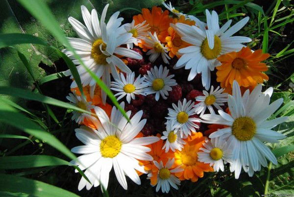 Еслямова Алмагуль