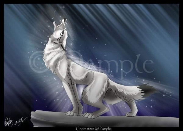 Alina Muhamedkarieva