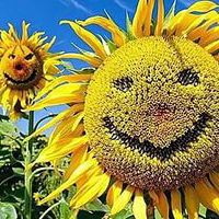 Козьма Пруткофф