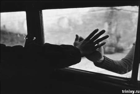 Erjena Владимировна