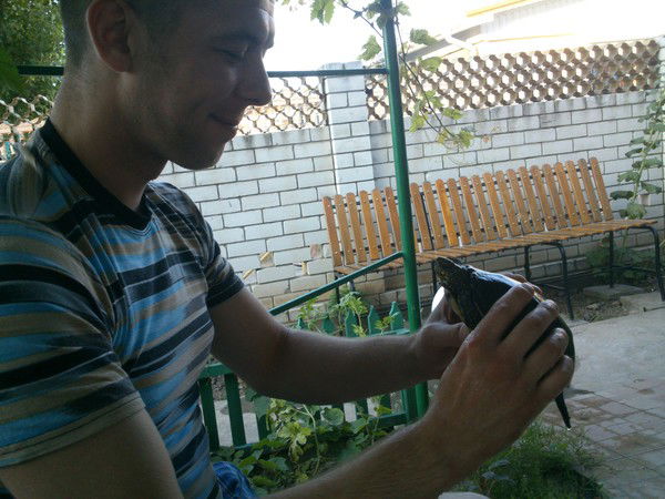 Дмитрий Брысин