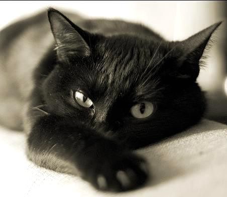 Марина Хильманович