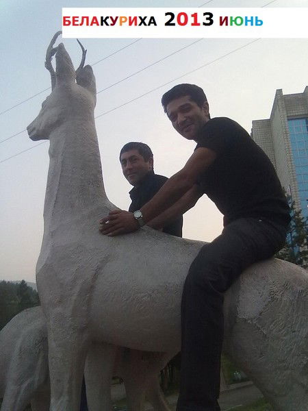 Эльшад Алиев