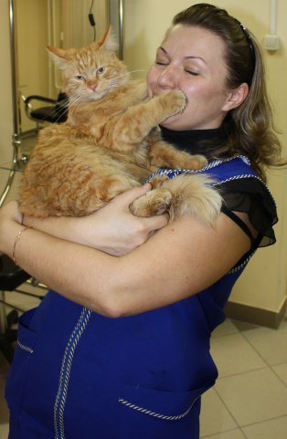 Олеся Шрамова