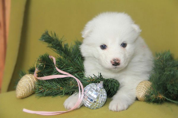 Татьяна Ушакова