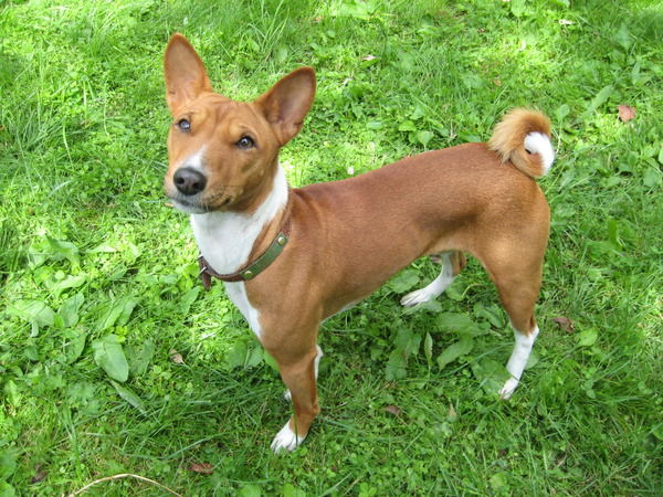 Ольга Матвеева